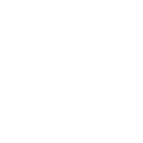 Bloom After Foundation